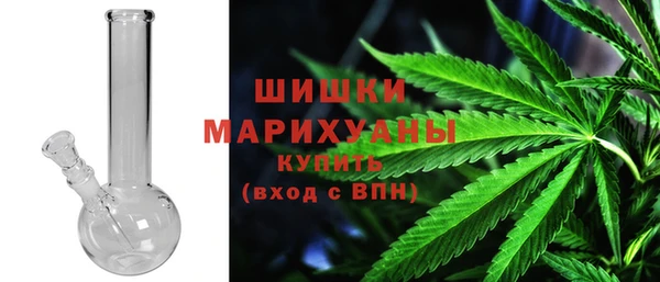 шишки Ельня