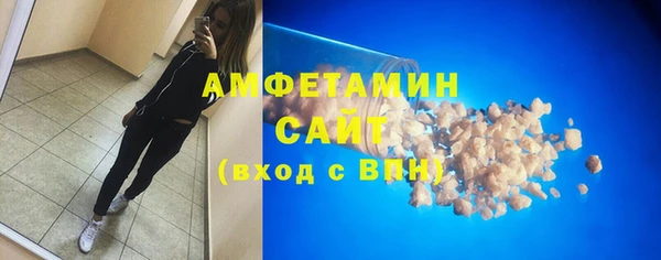 шишки Ельня