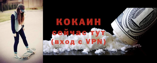 соль ск Дмитров