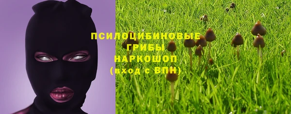 шишки Ельня