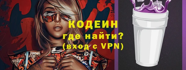 соль ск Дмитров