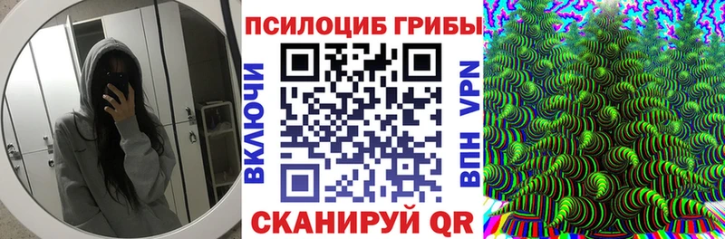 Галлюциногенные грибы MAGIC MUSHROOMS где можно купить Лабинск
