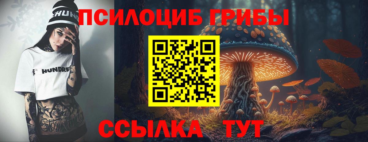 сколько стоит  Псилоцибиновые грибы ЛСД  Вход с VPN  Псилоцибиновые грибы Cubensis  Лабинск 