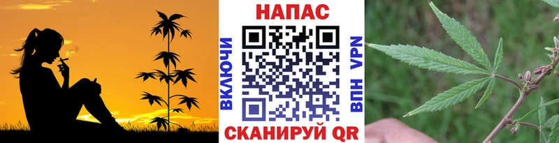 Шишки марихуана Ganja  Лабинск 
